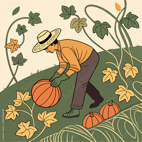 Illustration of a farmer harvesting pumpkins in a field with vines and leaves on a sunny day scene