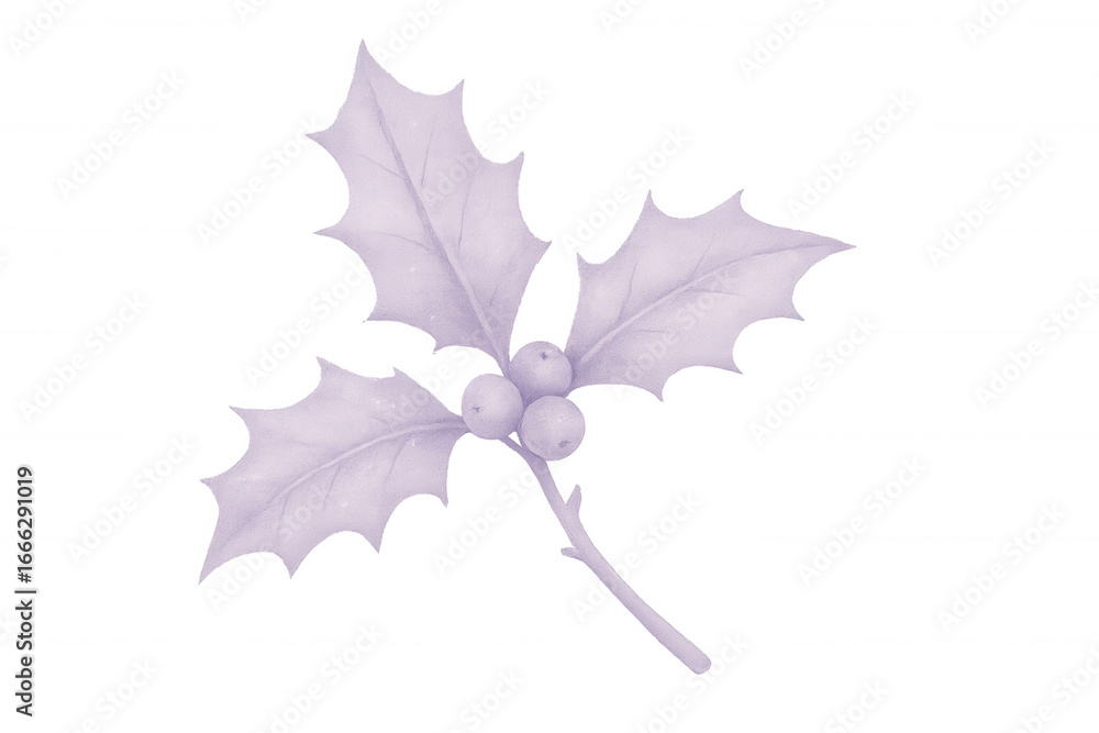 Fototapeta premium Purple-toned holly sprig with berries, isolated on a transparent background, evokes a sense of calm and winter magic