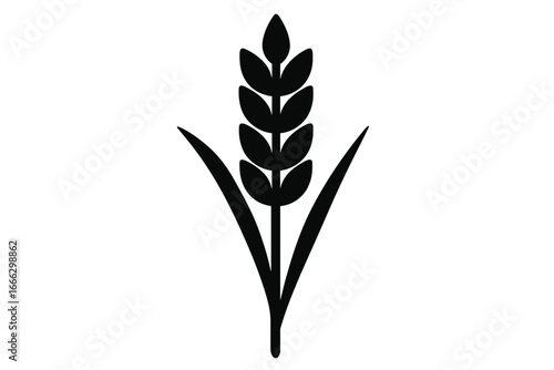 Simple wheat ear silhouette. Minimalist grain stalk icon for bakery logo or agriculture symbol. Vector illustration of a cereal plant like barley or rye for farm or harvest.