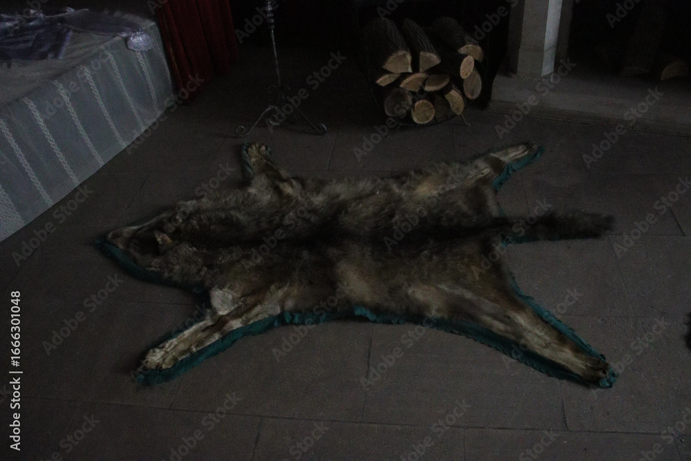 Obraz premium Wolf pelt rug displayed on the floor near a fireplace with stacked wood, evoking the hunting traditions and medieval atmosphere of Corvin Castle in Romania.