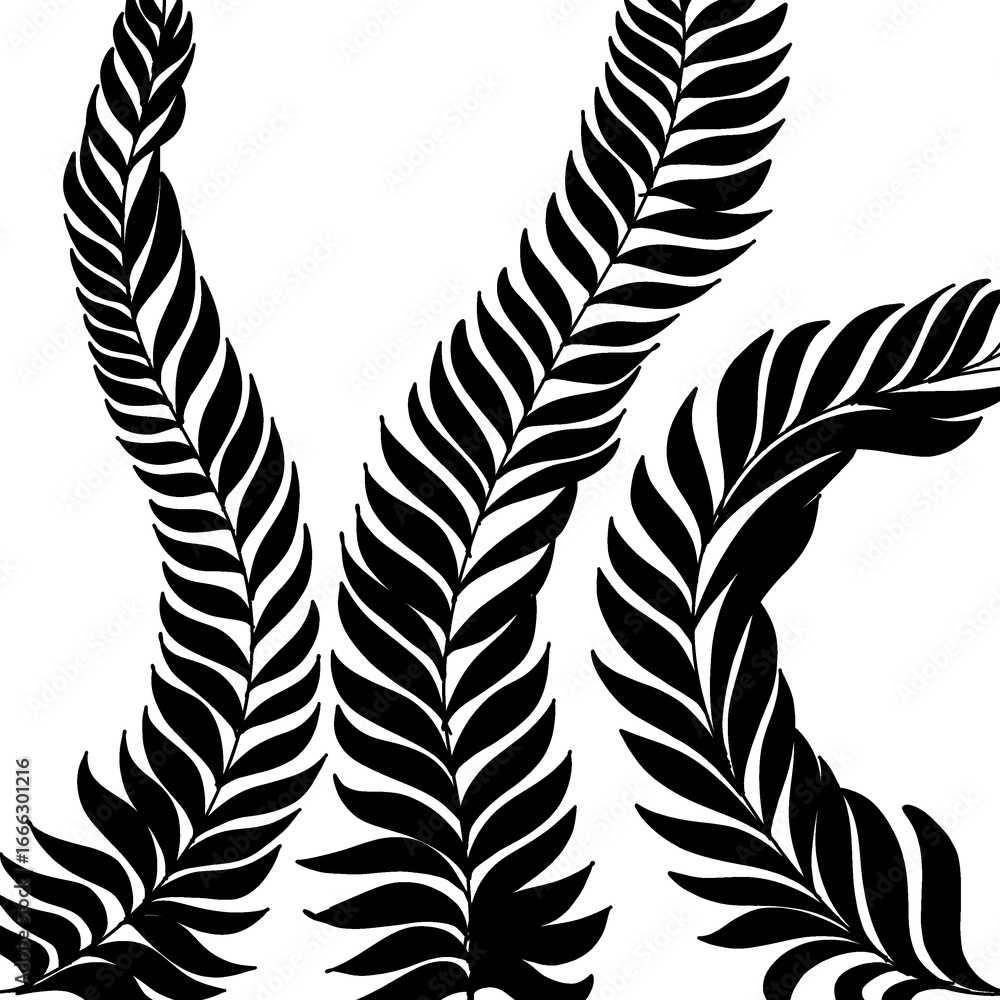Fototapeta premium feathers vector illustration