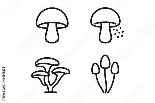 Mushroom and fungi line icons set of 4, outline style with spores and mycology symbols, nature project elements, botanical fungi illustrations, vector graphic design