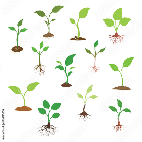 Collection of diverse young green plants and seedlings with visible roots growing in soil isolated on white background