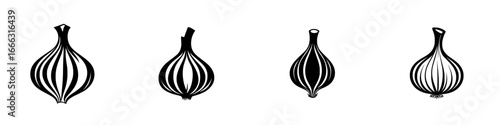 Detailed illustration of various garlic bulb shapes on a clean white background, showcasing their unique structures for culinary inspiration