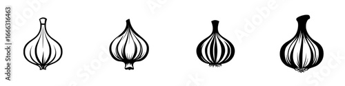 Different types of garlic bulbs showcasing various shapes and sizes on a plain background