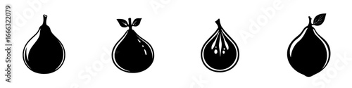 Different varieties of figs represented in a simple and elegant graphic design for culinary and artistic inspiration