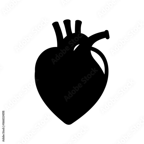 Detailed black silhouette of a human heart with visible vessels