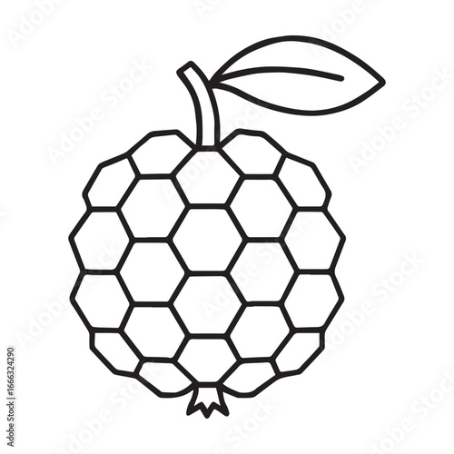 Pandanus Hala Fruit Vector Illustration