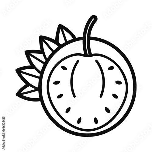 Hala Fruit Vector