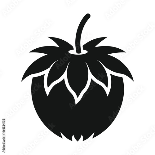 Hala Fruit Vector Illustration