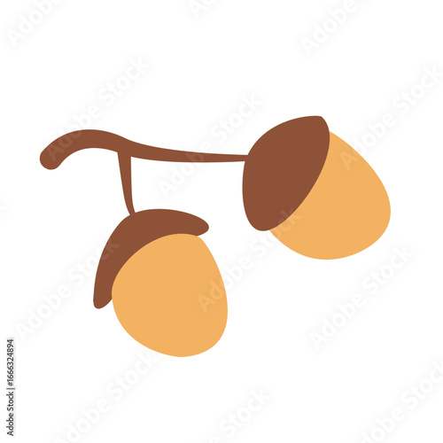 flat simple two acorns oak nuts vector clipart autumn squirrel food isolated on transparent background