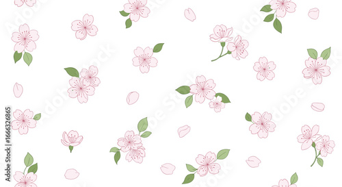 Wallpaper Mural Delicate pink cherry blossoms scattered across a clean white background a beautiful springtime floral pattern Torontodigital.ca