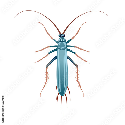 Isolated cockroach illustration on black background invertebrate insect pest control