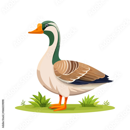 Illustrated Duck Stands Tall in Meadow Environment Animal Illustration