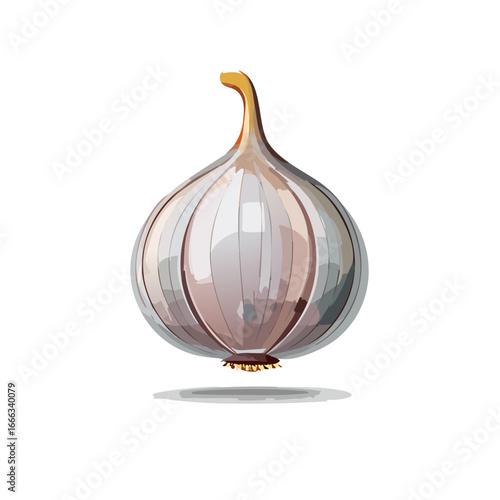 Single garlic bulb illustration on black, food ingredient, cooking