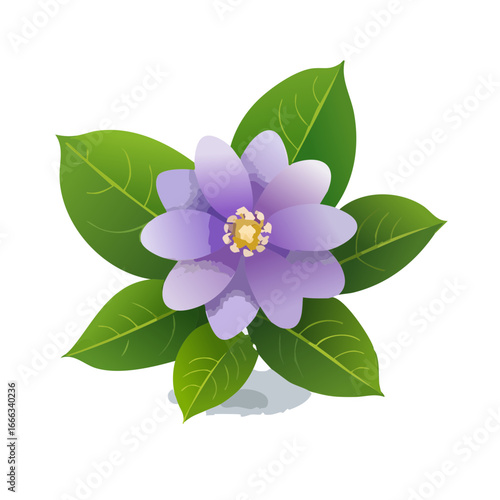 Illustration of a blooming flower with delicate violet petals and verdant leaves on a black background