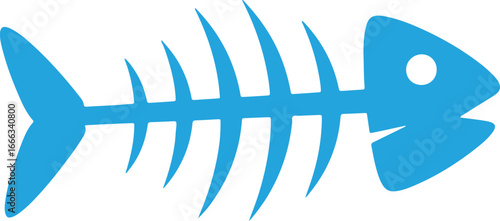 Web