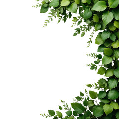 Close up of green leaves forming a border on the right and bottom against black background
