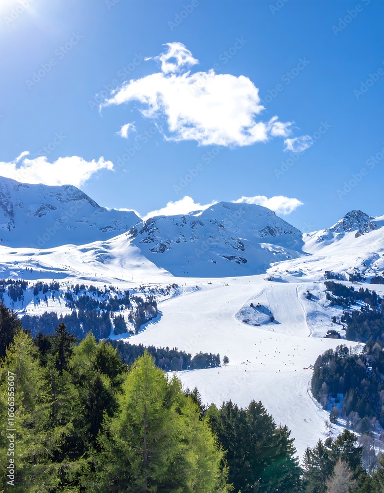 custom made wallpaper toronto digitalSnowy mountain range with fresh powder ski slopes and vibrant green trees under a clear, sunny sky.