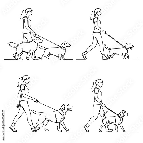Woman Walking Dogs: Simple Line Art Illustrations of Dog Walking Scenes.