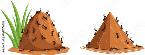 Ants, anthill, insect colony, teamwork, nature, wildlife, mound, pest control, outdoor, behavior, ant habitat, ecosystem, ant life cycle, insect mound, ant infestation, colony dynamics