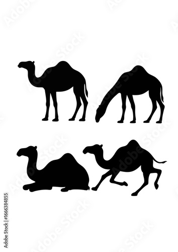 Camel Silhouette.ai