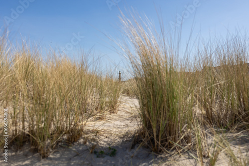 Weg zum Strand an der Ostsee