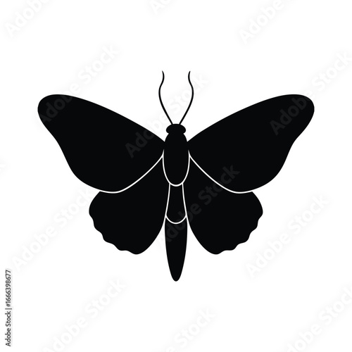butterfly vector illustration