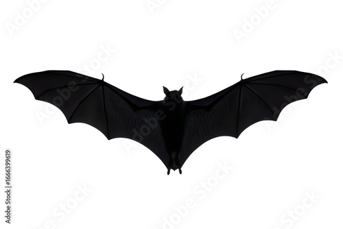 A solitary black bat with its wings fully spread in flight against a stark white background, an iconic symbol of the night