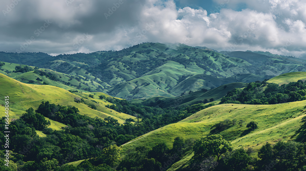 Fototapeta premium Lush green hills under a cloudy sky in a serene landscape during midday