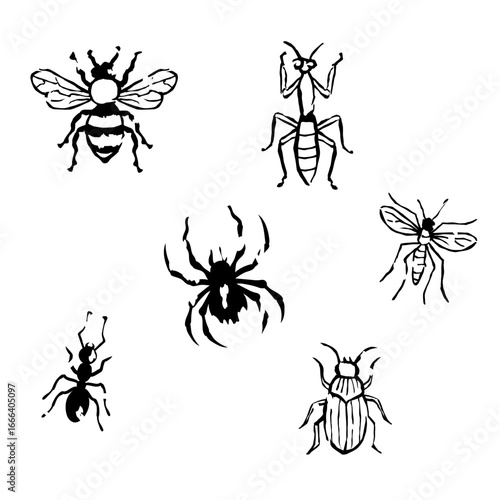 Hand drawn engraving style set of insects. Includes bee, fly, ant, beetle, mantis, and spider. Vintage medieval illustration in gothic style