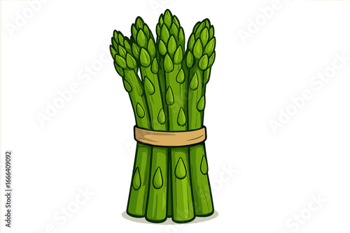 Fresh asparagus bundle vector illustration. Healthy organic food cartoon icon for cooking and nutrition. Green vegetable ingredient for vegan diet. Isolated drawing on white background.