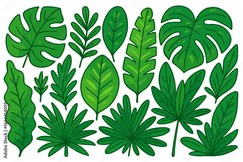 Set of tropical leaves. Green jungle foliage collection. Monstera, palm leaf vector illustration. Exotic botanical summer design elements. Cartoon flat icons for decoration, eco.