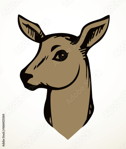 Beautiful noble deer. Vector drawing