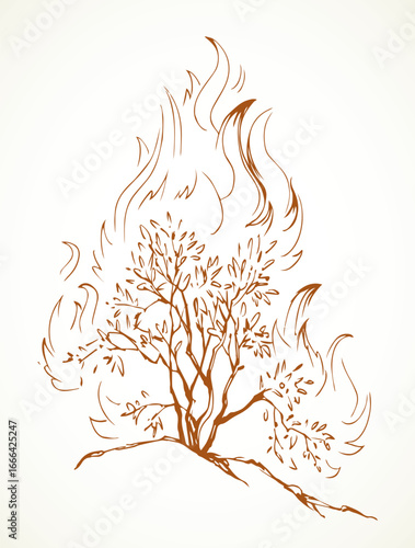 Burning bush. Vector drawing icon