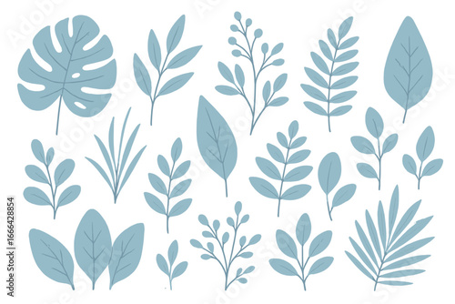 Set of blue botanical leaves and branches. Vector illustration collection of isolated plant elements. Minimalist flat design with monstera, fern and eucalyptus for nature concepts.