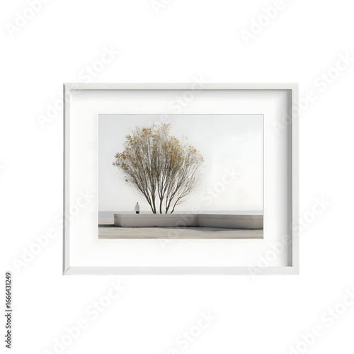 Minimalist framed picture of tree with bare branches  isolated on white background