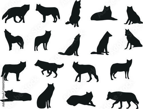 Wolf silhouette set, black vector wolves, various poses, howling, sitting, walking, lying down, wild animal icon, isolated, collection