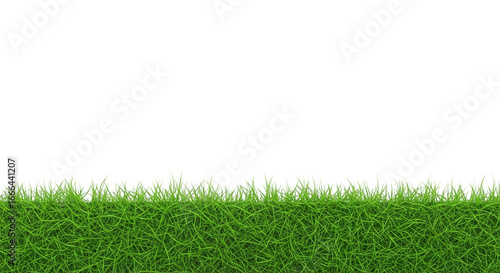 Lush green grass against dark background
