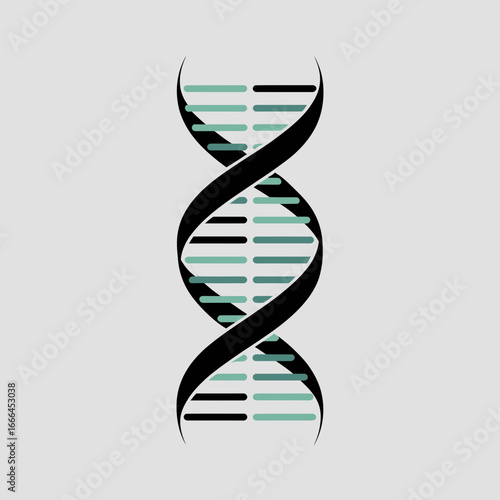 dna strand on white background