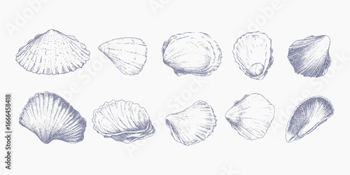 Set of shell prints. Brush stroke with halftone threshold, speckled dust layer and soft grain grit. Faded ink fill and retro noise pattern.