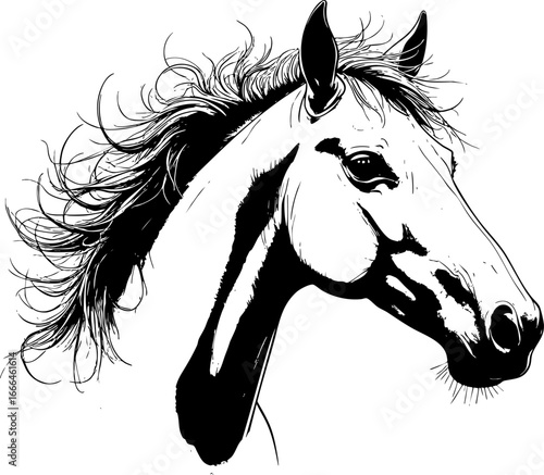 Majestic Horse Portrait with Flowing Mane