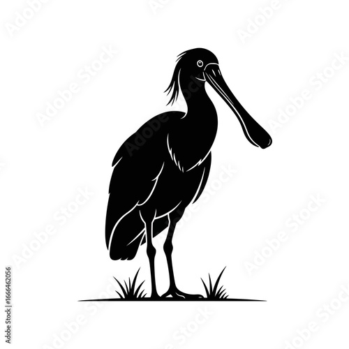 stork on a branch