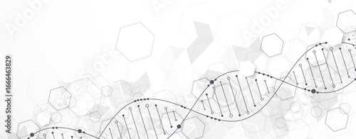 Abstract hexagon futuristic background for design works.
Science template, wallpaper or banner with a DNA molecules.