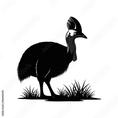 ostrich vector illustration