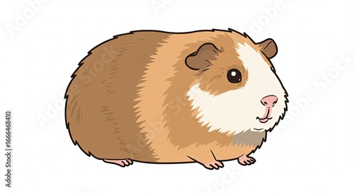 Cute Guinea Pig Sitting Cartoon Style with Brown Fur on White Background