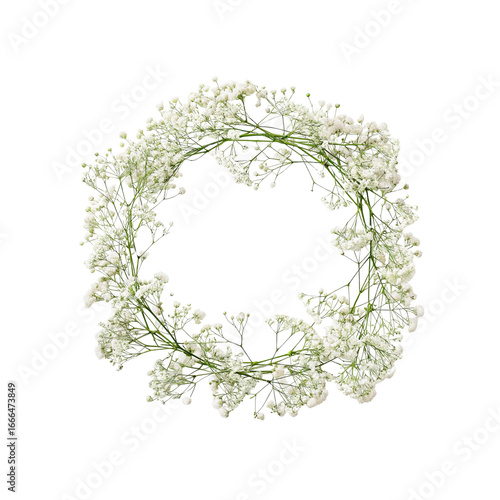 White baby's breath wreath on a dark background studio shot