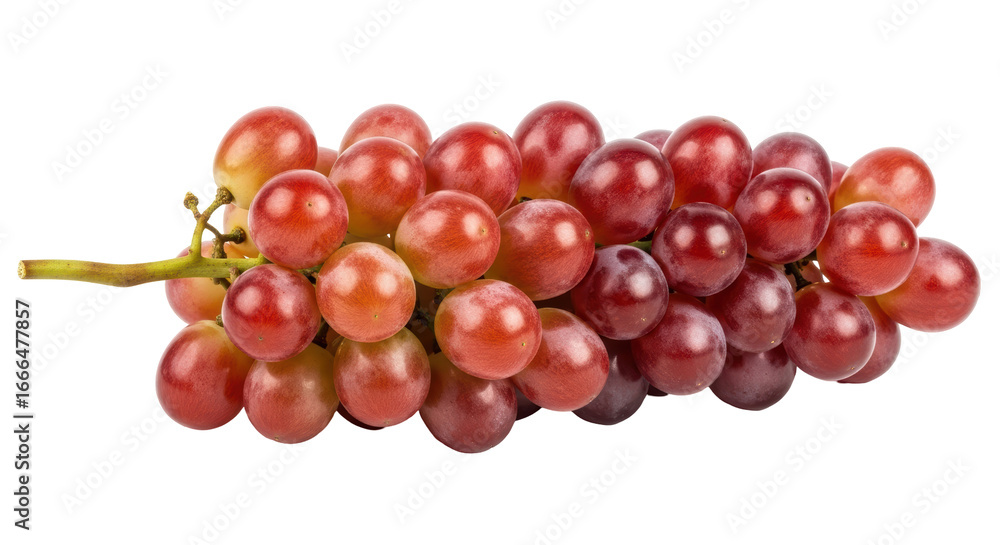 Fototapeta premium Isolated Bunch of Red Grapes