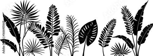 Tropical Leaf Silhouettes Collection 