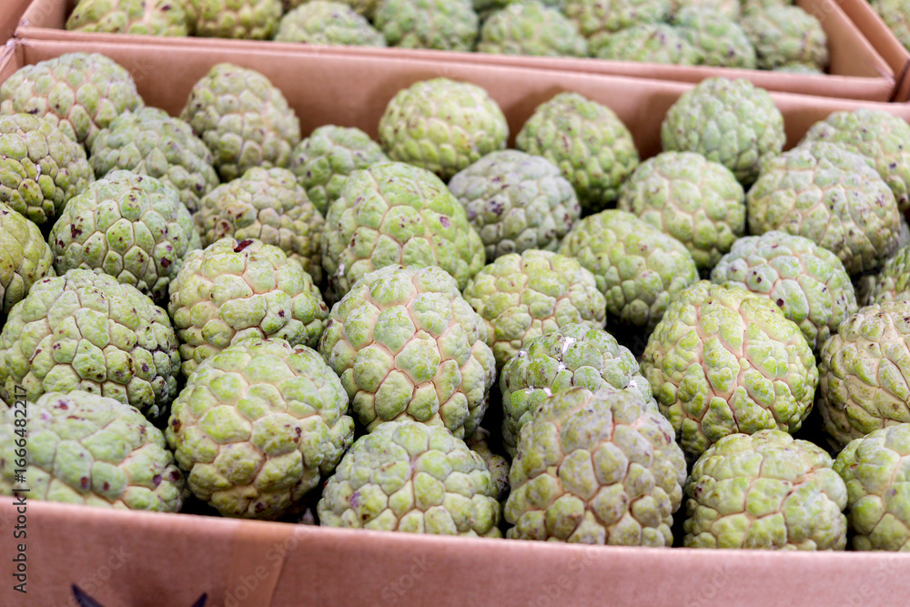 Fototapeta premium Many fresh sugar apples on sell at Asian local market. Tropical ripe sweet delicious sugar apple fruit at market.